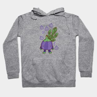 Fig MS Hoodie